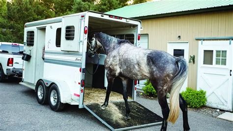 faproulette horse|Horse Load .